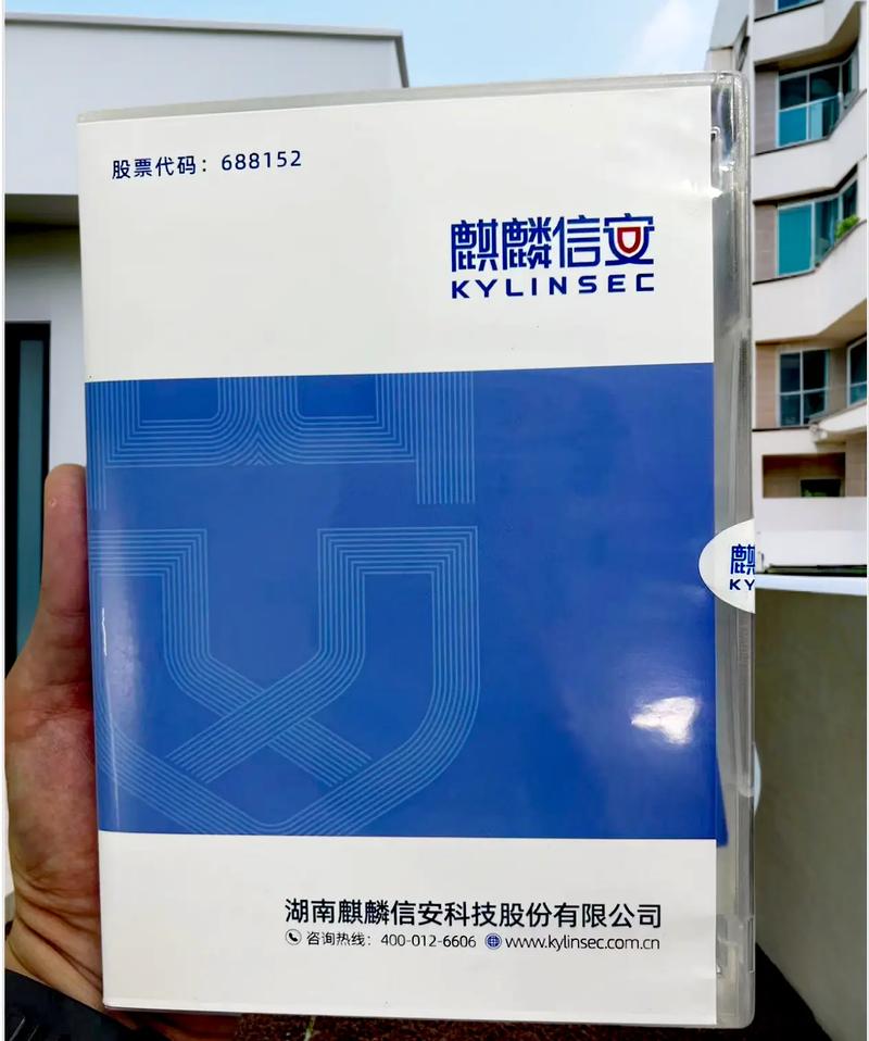 信创浪潮下的计算机系统服务 国产化替代中的机遇与挑战